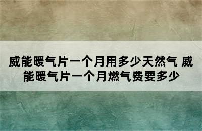 威能暖气片一个月用多少天然气 威能暖气片一个月燃气费要多少